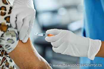 Study finds that 27% of Canadians support jail time for the unvaccinated - Dawson Creek Mirror
