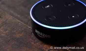 Alexa crashes leaving users across the UK unable to get a response from their Echo speakers 