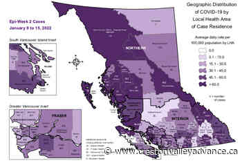 Nelson area sets yet another COVID-19 case record - Creston Valley Advance