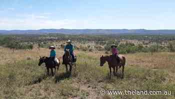 Red Angus bolsters crop fattening results in Queensland - The Land Newspaper