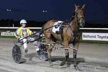 Bathurst a happy hunting ground for Jack - Harnesslink