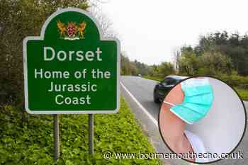 What's happening with Covid rates across Dorset