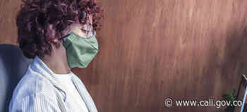 “Ley de Transparencia es una buena noticia”: Alfagma Sánchez - Alcaldía de Santiago de Cali