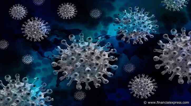 Nano bubbles in blood of Covid patients could treat, prevent infection with coronavirus variants
