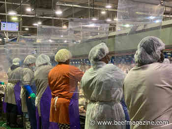 Meat, poultry industry leaders launch Women's Meat Industry Network