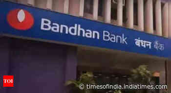 Bandhan Bank Q3 net rises 35.8% at Rs 858.9 crore