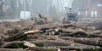 Was Sie wissen müssen: Inflation in Stadtlohn und Corona-Verstöße in Ahaus - Münsterland Zeitung