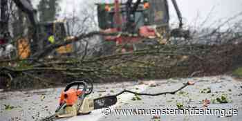 Video: Darum war die L608 in Stadtlohn den ganzen Sonntag gesperrt - Münsterland Zeitung