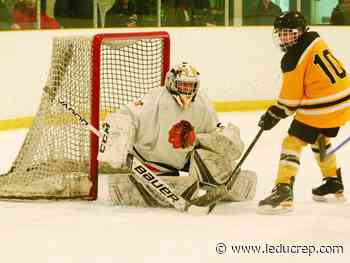 BAHA to announce new team name soon - Leduc Representative