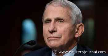 The Puppy Killings Were Just the Tip of the Iceberg - Fauci's NIAID's 'Grisly' Work Is Being Exposed
