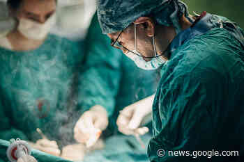 US surgeons implant genetically altered pig kidneys in a brain-dead patient - Engadget