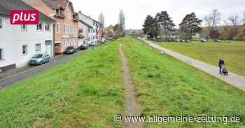 Keine Deich-Bauarbeiten in Frei-Weinheim vor 2024 - Allgemeine Zeitung