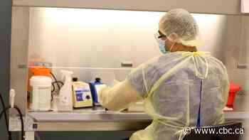 Montreal health agency unable to analyze COVID-19 tests in time, throws out thousands