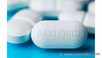 Covid-19: le Paxlovid, la pilule de Pfizer qui protège des formes graves, autorisé en France