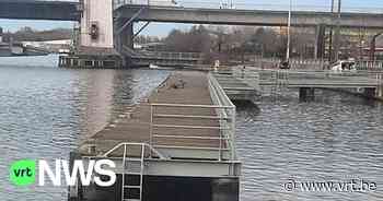 Mysterieuze verdwijning in Vilvoorde: politie staat voor compleet raadsel - VRT NWS