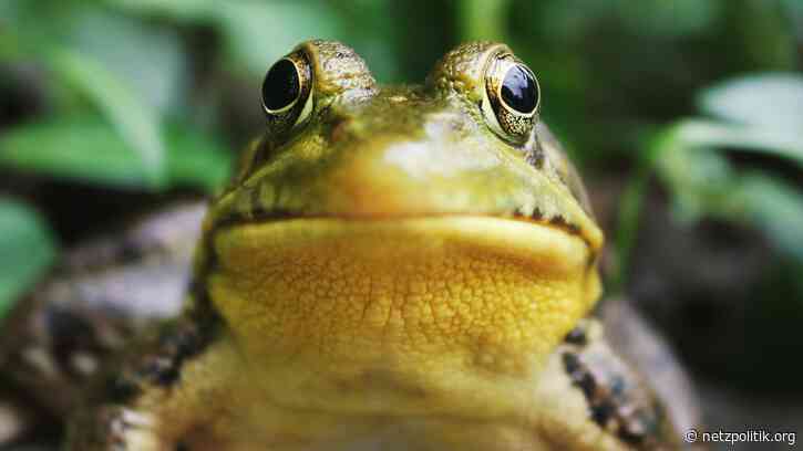 Wochenrückblick KW3: Immer wieder Ärger mit Luca