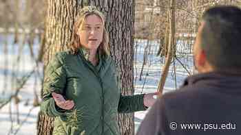 Penn State gets grant to teach private forest owners to adapt to climate change - Penn State News