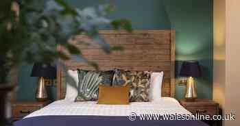 Forest Holidays unveils latest holiday park development in Brecon Beacons woodland - Wales Online