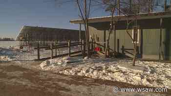 Boston School Forest holding 'Family Winter Open House' Friday - WSAW