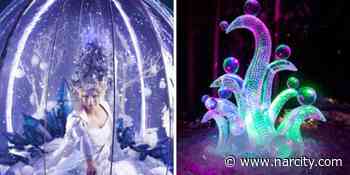 Toronto Is Getting A New Winter Festival With A Dazzling Forest Trail & Giant Snow Globes - Narcity Canada