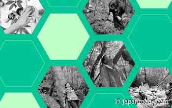 In search of forest medicine in Japan - Japan Today