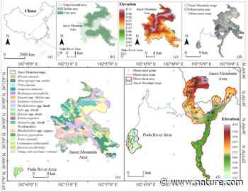 Implementation of the visual aesthetic quality of slope forest autumn color change into the configuration of tree species | Scientific Reports - Nature.com