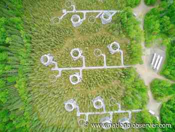 Across the boreal forest, scientists track warming's toll - National Observer