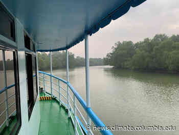 Into the Sundarban Mangrove Forest and Back - Geohazards in Bangladesh - State of the Planet
