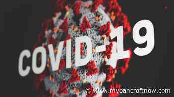 Omicron wave may have peaked, hospital and ICU numbers still rising; Tam