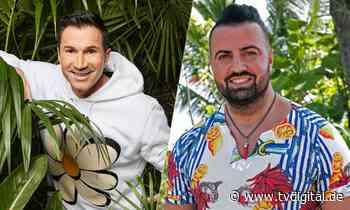 „Dschungelcamp“: Darum gibt es nur 11 Teilnehmer in Südafrika - TV Digital
