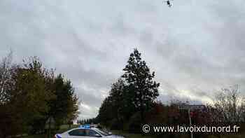 Un félin observé près d'Arras dimanche matin, un important dispositif déployé - La Voix du Nord