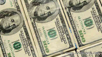 Couple Scammed Nearly $2.5M From Florida Keys Fish House, Fishermen: MSCO