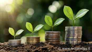 Imprese green: la Lombardia eccelle, in provincia di Lecco ce ne sono oltre 2mila - LeccoToday