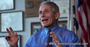 Cameras Catch Creepy Items Lurking in Dr. Fauci's Office