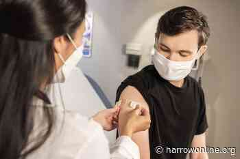 Webinar announced about the Covid vaccine for 12-15 year olds - Harrow Online
