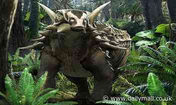 'Living fortress' dinosaur was DEAF, say scientists behind study of its skull