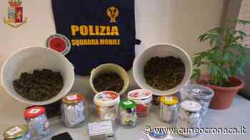 FOSSANO/ Nei guai un 28enne rumeno trovato in possesso di 1 chilo e mezzo di marijuana - Cuneocronaca.it