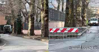 Sora: il Comune recepisce la segnalazione e rimuove prontamente le foglie al campo boario - Sora24