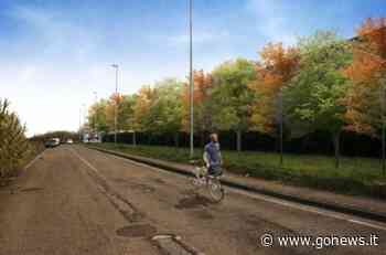 Spuntano nuovi alberi a Fucecchio, 80mila euro di finanziamento nelle zone industriali - gonews