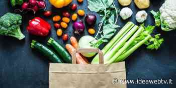 Cuneo: già 150 domande per i buoni spesa alimentari 2022 - www.ideawebtv.it - Quotidiano on line della provincia di Cuneo - IdeaWebTv