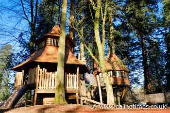 Charles opens children's adventure playpark inspired by George's treehouse - Ealing Times