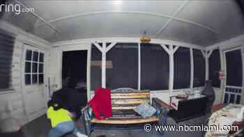 Video Shows Florida Man Fighting Off Black Bear In Attempt to Protect Dogs