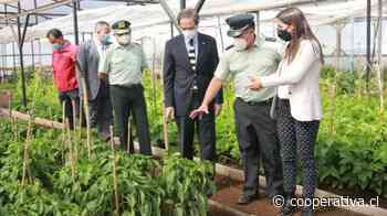 En Ñuble: Ministros de Justicia y Agricultura sellan convenio para reinserción social de reclusos mediante trabajos agrícolas