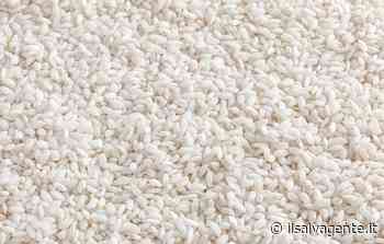 Richiamato un lotto di Riso Carpi contaminato dal pesticida tetrametrina - Il Salvagente