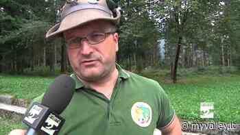 Alpini Clusone: costituito un nuovo direttivo - MyValley.it