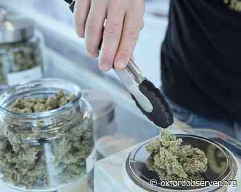 Oxford could get medical marijuana dispensaries – Oxford Observer - Oxford Observer