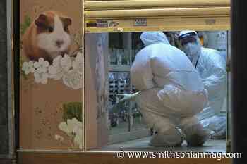 Hong Kong Will Cull Thousands of Hamsters and Small Animals After Delta Variant Was Detected in a Pet Shop - Smithsonian