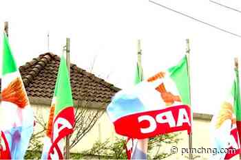 2023: Group declares support for emergence of APC governor in Delta - Punch Newspapers