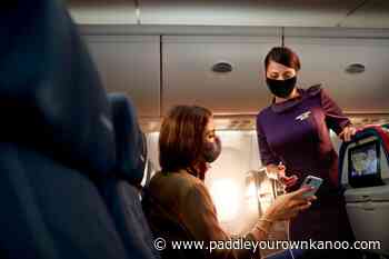 Delta Air Lines Reopens Flight Attendant Recruitment For The Second Time in Less Than Six Months - Paddle Your Own Kanoo