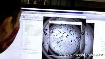 Delta variant vanishes from Altamonte Springs-area wastewater, but COVID levels remain high - WKMG News 6 & ClickOrlando